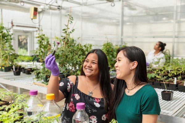 PSUF student playing piano