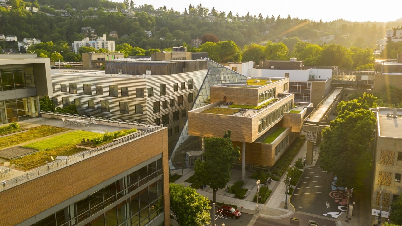 students walking to class