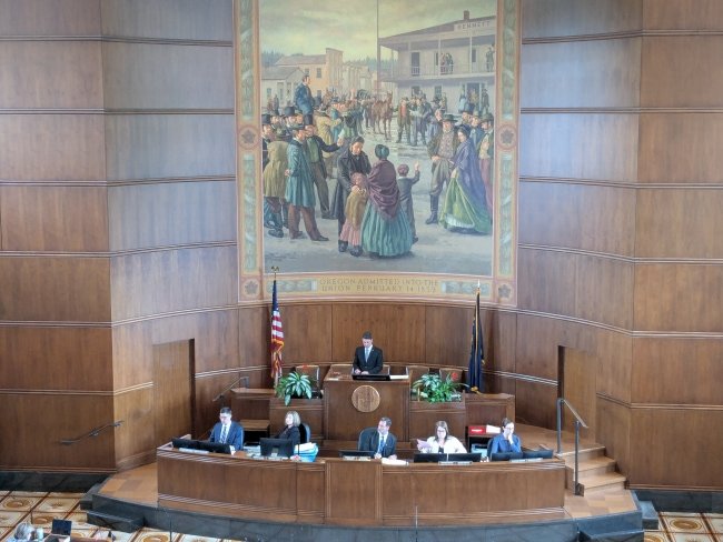 Find Your Elected State Legislators